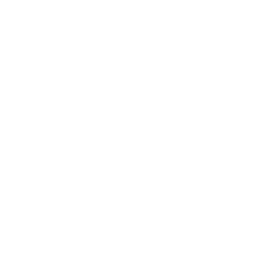 Red Rose  Breakfast Icon